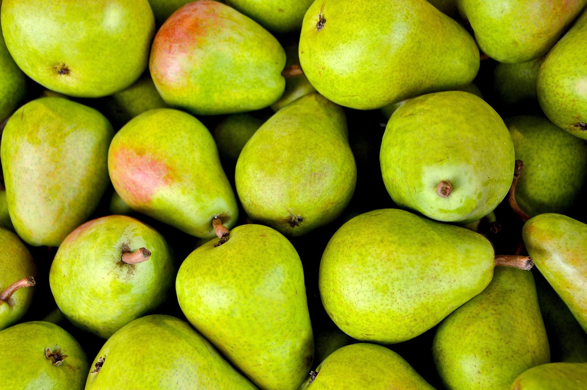 fruit-1534494_1920.jpg