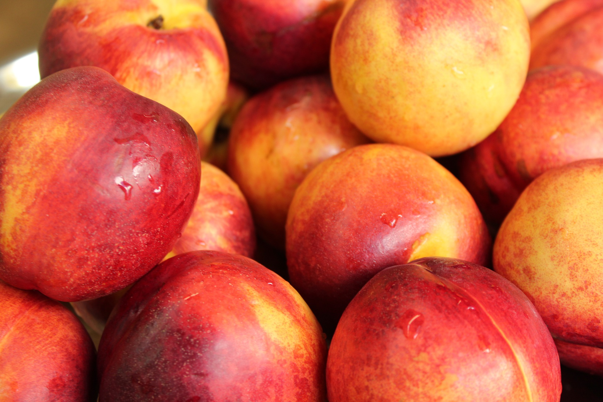 nectarines-4534241_1920.jpg